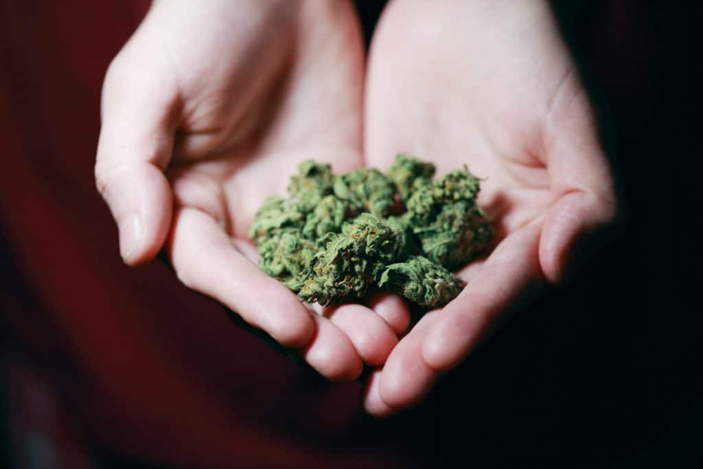 Medical Marijuana Found To Be Undue Hardship For Employer