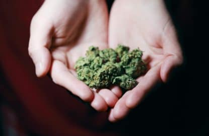 Medical Marijuana Found To Be Undue Hardship For Employer